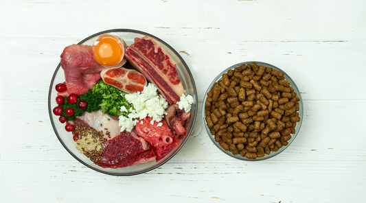 The Ultimate Guide to Natural Dog Food: Benefits and What to Look For.